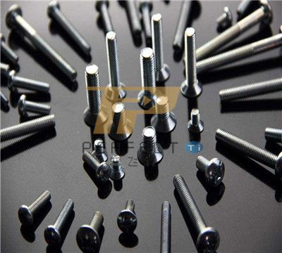 Titanium car screws