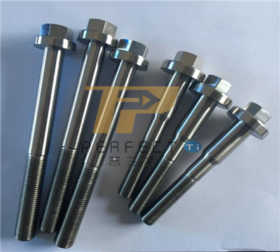 Titanium car screws